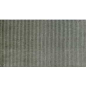 Lelievre - Mogador 372-16 Lichen