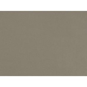 Lelievre - Cosmos 383-11 Taupe