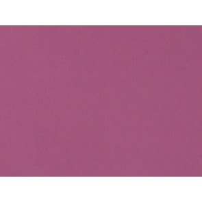 Lelievre - Cosmos 383-15 Rose