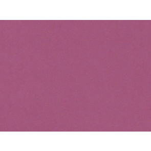 Lelievre - Cosmos 383-15 Rose