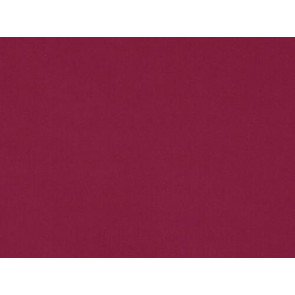 Lelievre - Cosmos 383-23 Azalee