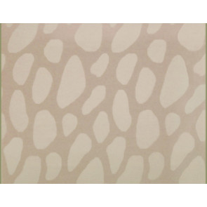 Lelievre - Meteorite 494-02 Nacre