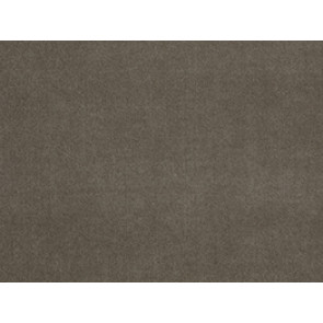 Lelievre - Fuji 552-13 Mastic