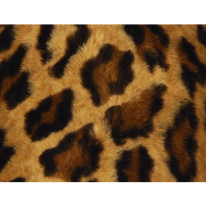 Lelievre - Ocelot 602-01 Nature