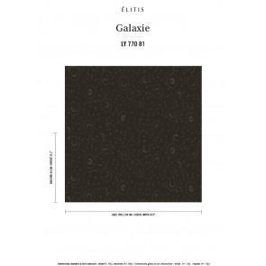 Élitis - Galaxie - Reflets d'argent LY 770 81