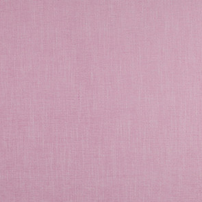 Manuel Canovas - Brasilia - Rose 4563/01