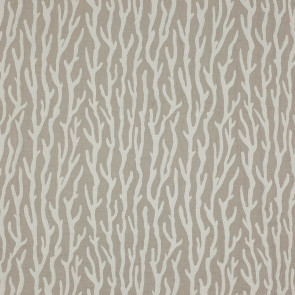 Manuel Canovas - Trieste - Ivoire 4661/04