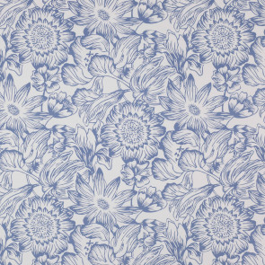Manuel Canovas - Manon - Mer 4755/02