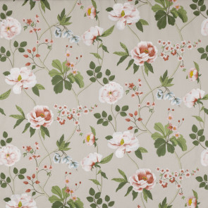 Manuel Canovas - Talmont - M4061-03 Corail