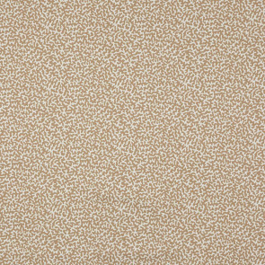 Manuel Canovas - Apolline - M4091-12 Dune