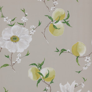 Manuel Canovas - Vol 6 - Guermantes Nacre 3088/01