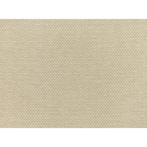 Mark Alexander - Shifu - MW112/06 - Parchment