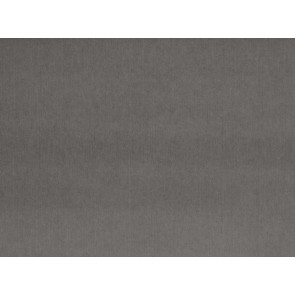 Mark Alexander - Columbus - M281/01 Ash