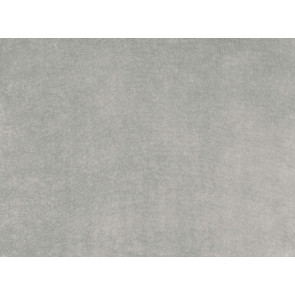 Mark Alexander - Circa - M463/24 Ash