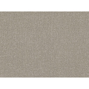 Mark Alexander - Coda - M528/05 Cement