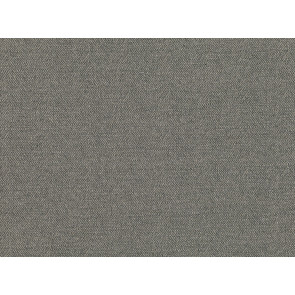 Mark Alexander - Sauvage - M538/06 Anthracite