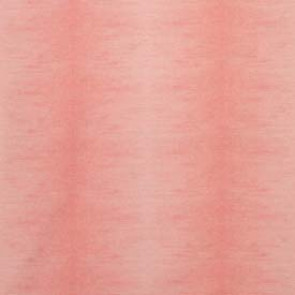 Nina Campbell - Calypso - NCF4242-04