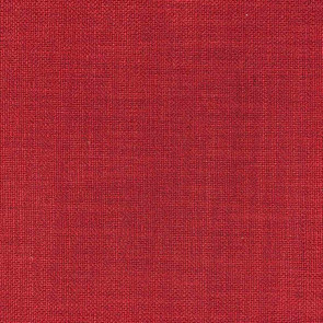 Nobilis - Paco 10615-50