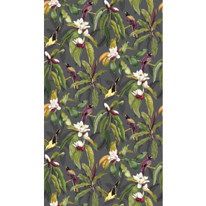 Osborne & Little - Michelia - W7612-01