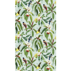 Osborne & Little - Michelia - W7612-04