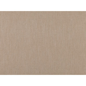 Romo - Delano - Sugar Beet 7318/50