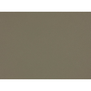 Romo - Rivo - String 7426/08