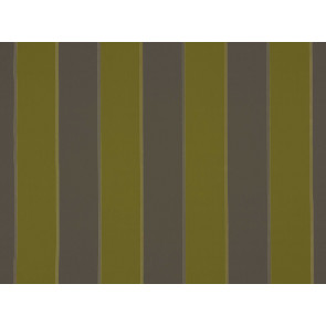 Romo - Anciana - Pesto 7427/06