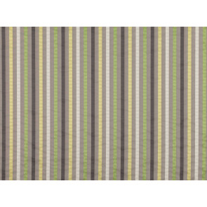 Romo - Pepi - Euphorbia 7606/01