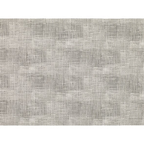Romo - Lazlo - Chinchilla 7809/02