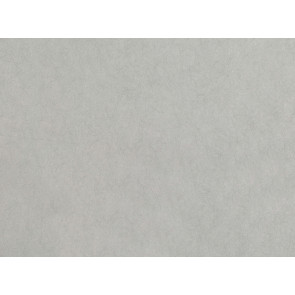 Romo - Asper - W399/06 Silver