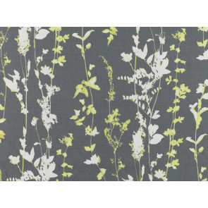 Romo Black Edition - Botanica - 7564/02 French Grey