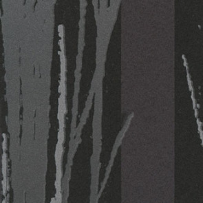 Élitis - Série limitée - Dream forest - TP 164 05 Silver wood fiction