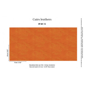 Élitis - Cuirs leathers - Cash - VP 691 15 Un chic rebelle