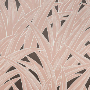 Zimmer + Rohde - Palmhouse - 10850/483