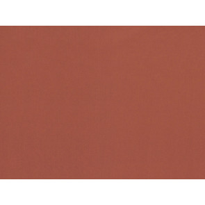 Zimmer + Rohde - Focus - 10650/344