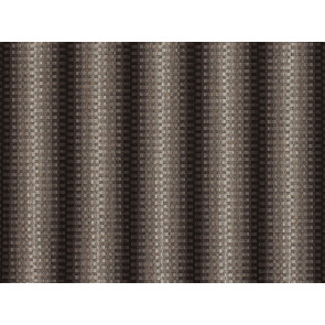 Zinc - Manzano - Carbon Z128/01