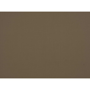 Zinc - Salgado - Buff Z223/07
