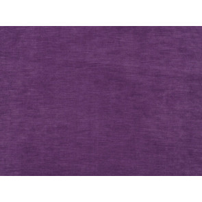 Zinc - Semper - Violet Z234/05