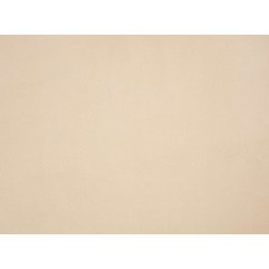 Zinc - Harrison - ZL104/01 - Parchment