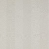 Colefax and Fowler - Chartworth Stripes - Wilder 7140/06 Silver