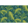 Cole & Son - Icons - Palm Jungle 112/1002