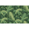 Cole & Son - Icons - Palm Jungle 112/1003