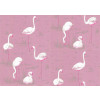 Cole & Son - New Contemporary I - Flamingos 66/6043