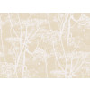 Cole & Son - New Contemporary - Cow Parsley 66/7049