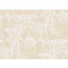 Cole & Son - New Contemporary I - Cow Parsley 66/7049