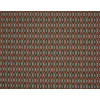 Braquenie - Aristote - B7641003 Goyave