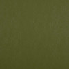 Camengo - Mixology Leather Inspired - 34893978 Anis
