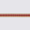 Casamance - Passion Galon Plat - 40010255