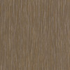 Casamance - Sankara - Koa - 73590825 Gingembre