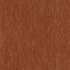 Casamance - Synopsis - Instantane - 73790952 Orange